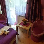 Goscinne Vida * Krynica Zdroj