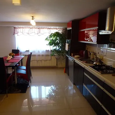 Goscinne Vida Проживание в семье *