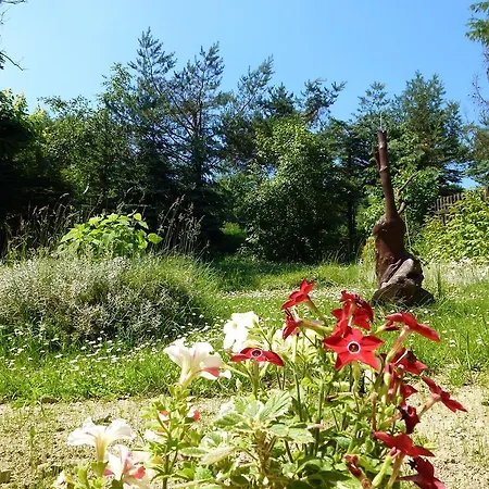 Goscinne Vida * クリニツァ・ズドルイ