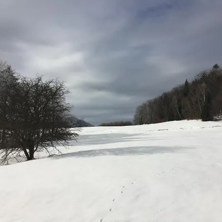 Goscinne Vida Krynica Zdroj
