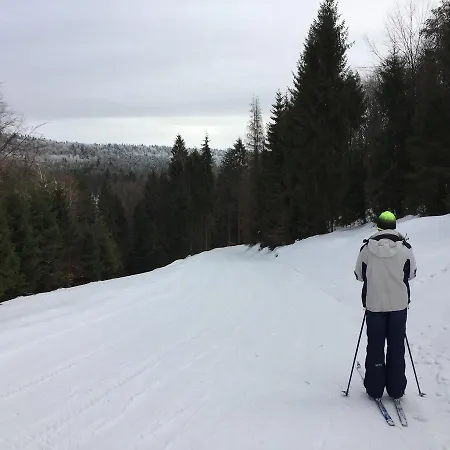 Privat bolig Goscinne Vida Krynica Zdroj