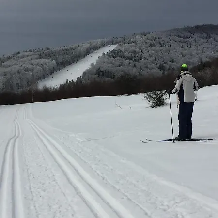 Проживание в семье Goscinne Vida *