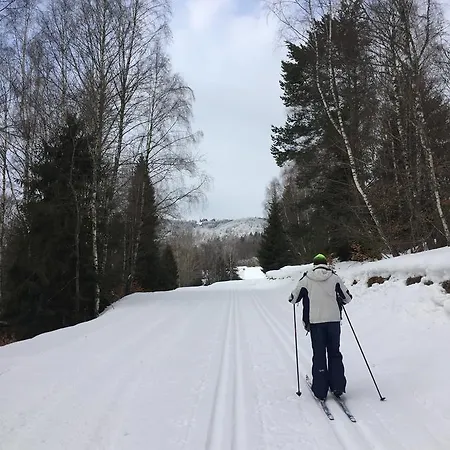 Goscinne Vida Проживание в семье Крыница-Здруй