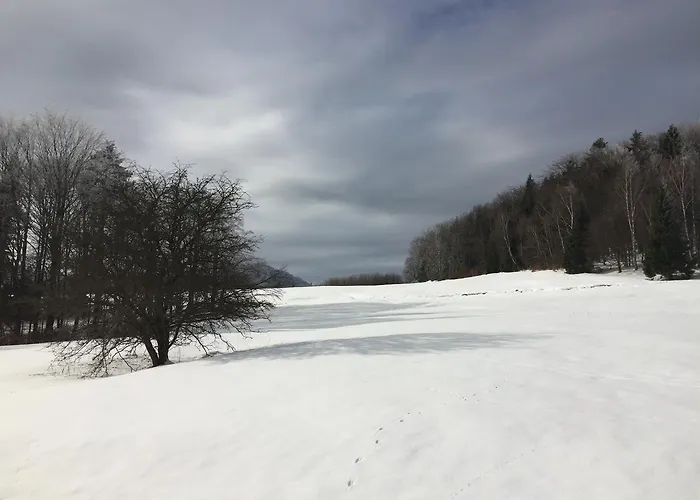 Goscinne Vida Krynica-Zdrój