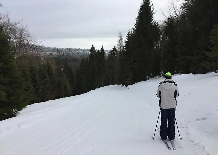 Kwatera prywatna Goscinne Vida Krynica-Zdrój