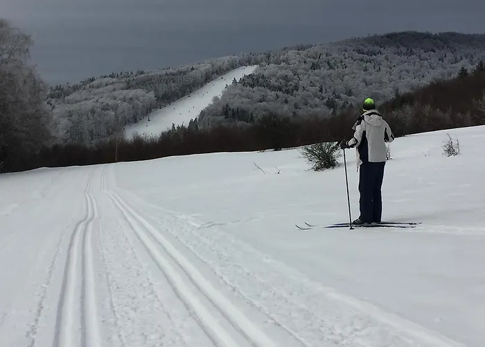 Kwatera prywatna Goscinne Vida *