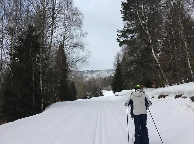 Goscinne Vida Kwatera prywatna Krynica-Zdrój